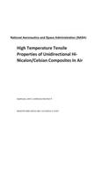 High Temperature Tensile Properties of Unidirectional Hi-Nicalon/Celsian Composites in Air