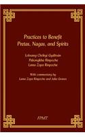 Practices to Benefit Pretas, Nagas and Spirits