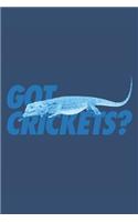 Bearded Dragon Lizard Iguana Journal
