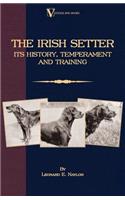 Irish Setter - Its History, Temperament And Training (A Vintage Dog Books Breed Classic)