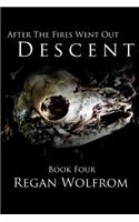 After the Fires Went Out: Descent