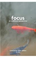 Focus on a different perspective
