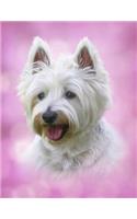 Dog Notebook: 8.5 X 11 202 Wide Ruled Pages