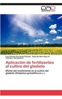Aplicacion de Fertilizantes Al Cultivo del Gladiolo