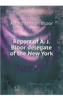 Report of A. J. Bloor delegate of the New York