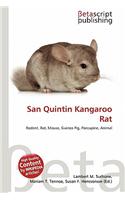San Quintin Kangaroo Rat