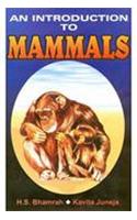 An Introduction To Mammals