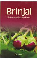 Brinjal: Solanum Melongena Linn