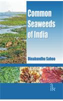 Common Seaweeds of India