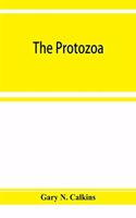 Protozoa