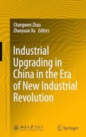 Industrial Upgrading in China in the Era of New Industrial Revolution