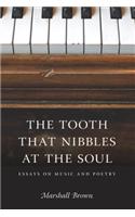 Tooth That Nibbles at the Soul: Essays on Music and Poetry