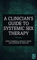 A Clinician's Guide to Systemic Sex Therapy
