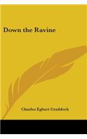 Down the Ravine