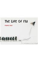 The Life of Fly