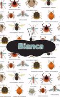 Bianca: Bug Insect Handwriting for K-3 Students Practice Paper Book Notebook Journal Book 120 Pages 6x9