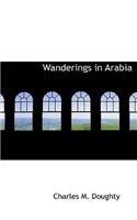 Wanderings in Arabia