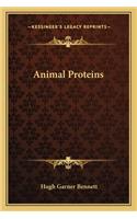 Animal Proteins