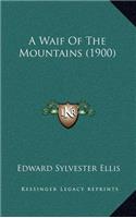 A Waif of the Mountains (1900)
