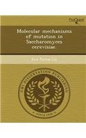 Molecular Mechanisms of Mutation in Saccharomyces Cerevisiae