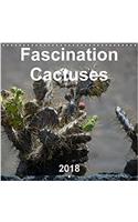 Fascination Cactuses 2018