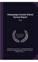 Champaign County School Survey Report