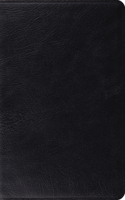 Study Bible-ESV: English Standard Version, Black, Genuine Leather