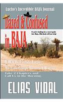 Dazed & Confused In Baja