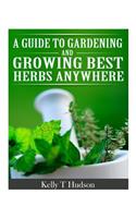 Guide to Gardening and Growing Best Herbs Anywhere