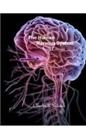 The Human Nervous System: (English)
