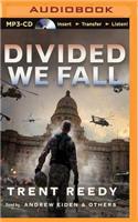 Divided We Fall