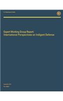 Expert Working Group Report: International Perspectives on Indigent Defense