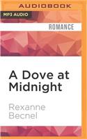 Dove at Midnight