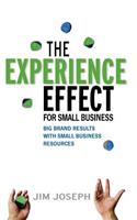 Experience Effect for Small Business