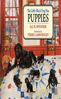 Little Black Dog Has Puppies