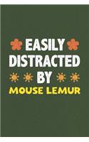 Easily Distracted By Mouse Lemur