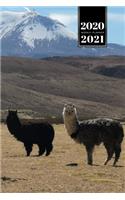 Llama Alpaca Vicuna Guanaco Week Planner Weekly Organizer Calendar 2020 / 2021 - In the Mountains