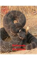 Rattlesnake Sketchbook