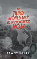 The Third World War is in Progress Now
