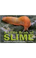 Little Book of Slime