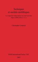 Techniques et sociétés néolithiques