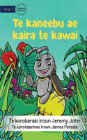 Insect that Led the Way - Te kaneebu ae kaira te kawai (Te Kiribati)