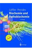 Biochemie Und Pathobiochemie
