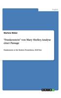 Frankenstein von Mary Shelley. Analyse einer Passage
