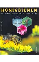Honigbienen