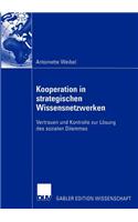 Kooperation in strategischen Wissensnetzwerken