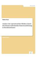Analyse der operationellen Risiken durch den Einsatz individueller Datenverarbeitung in Kreditinstituten