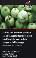 Effetto del prodotto chimico e dell'insacchettamento sulla qualità della guava della stagione delle piogge