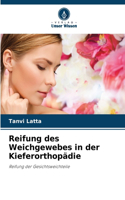 Reifung des Weichgewebes in der Kieferorthopädie