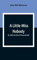 Little Miss Nobody; Or, With the Girls of Pinewood Hall